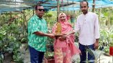 টাঙ্গাইলে ছাদে বাগান থাকলেই দেয়া হচ্ছে উপহার