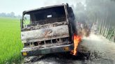 ঘাটাইলে গরুসহ গাড়ি রেখে পালালো চোর, গা‌ড়ি‌তে আগুন