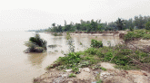 টাঙ্গাইলের চরপৌলিতে অসময়ে যমুনায় তীব্র ভাঙন